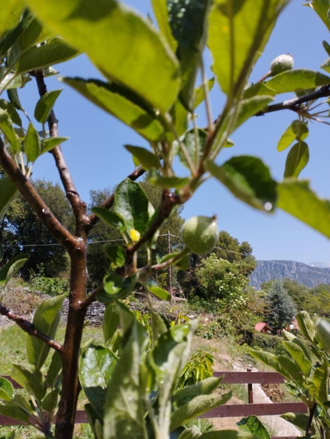 εκαli